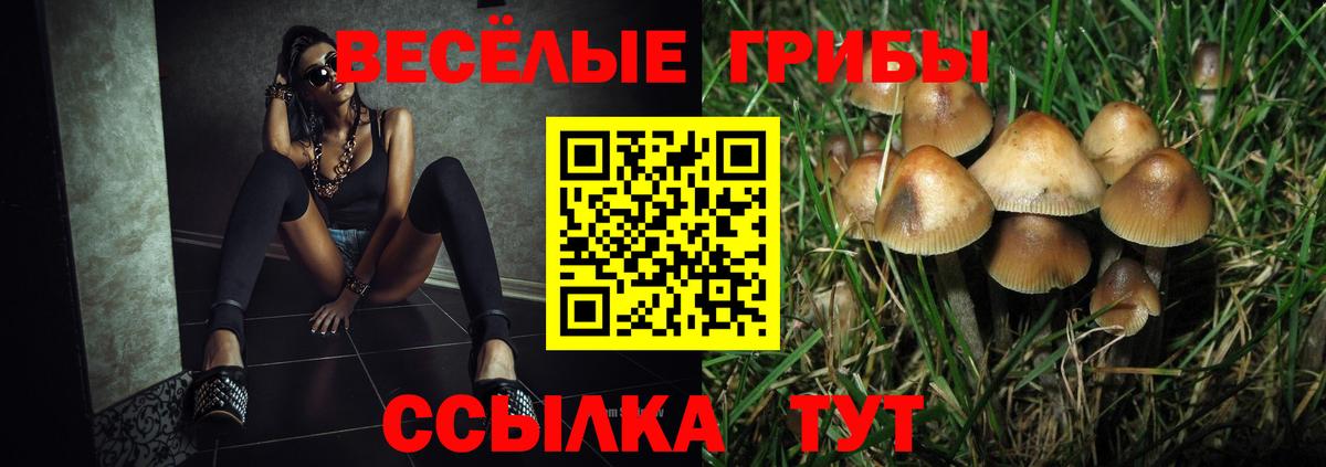 Псилоцибиновые грибы прущие грибы Большой Камень